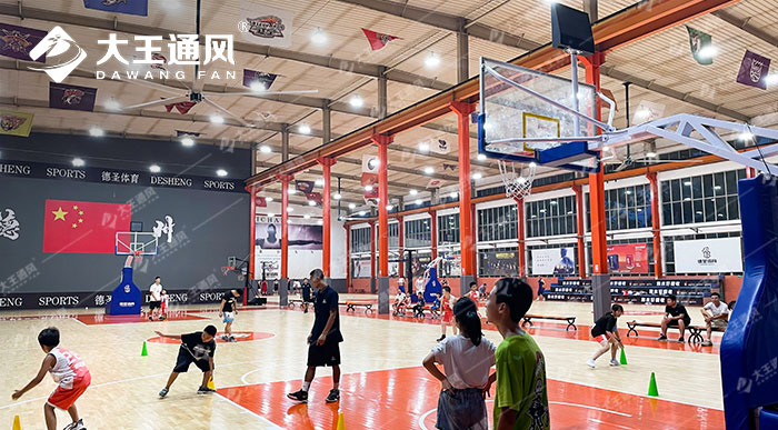 超大風扇下打球更爽-德圣體育