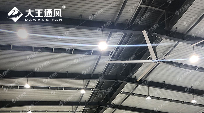 寧波某電器公司大型工業吊扇