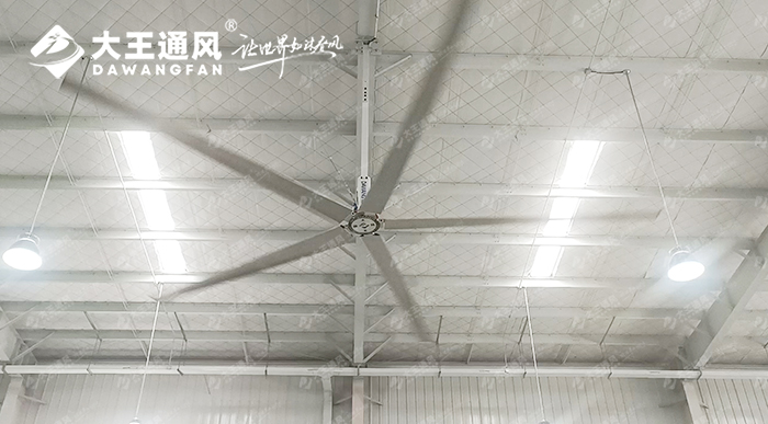 大王通風攜手維通利電氣:告別炎熱困擾,釋放清涼一夏!