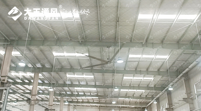 大王通風攜手維通利電氣:告別炎熱困擾,釋放清涼一夏!