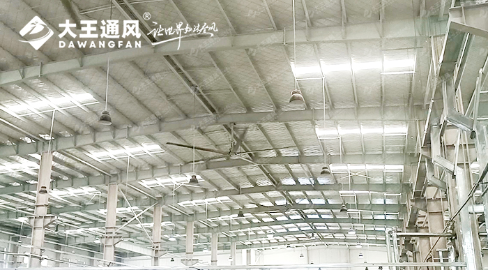 大王通風攜手維通利電氣:告別炎熱困擾,釋放清涼一夏!