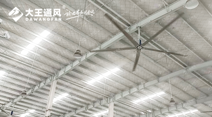 大王通風攜手維通利電氣:告別炎熱困擾,釋放清涼一夏!