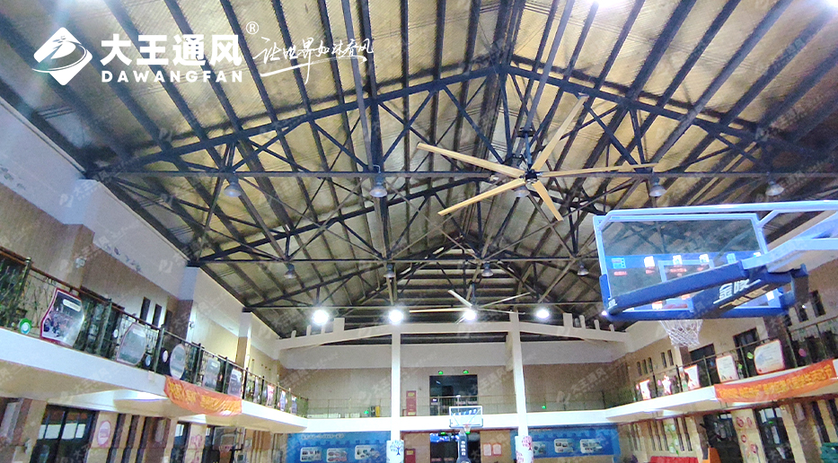 大王風(fēng)扇亮相錦天體育，打造舒適運(yùn)動(dòng)環(huán)境，運(yùn)動(dòng)達(dá)人熱薦！！！