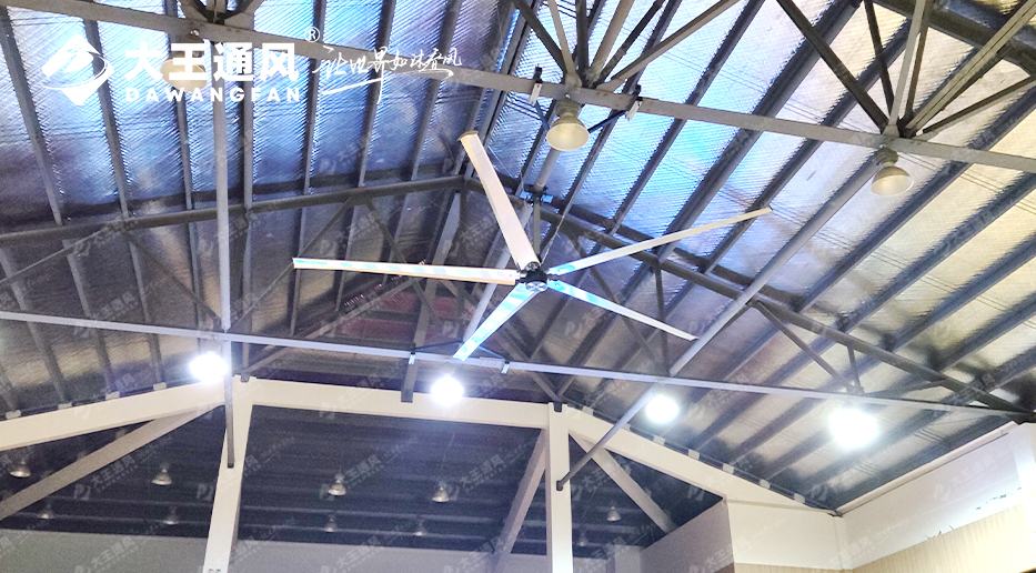 大王風扇亮相錦天體育,打造舒適運動環境,運動達人熱薦!!!