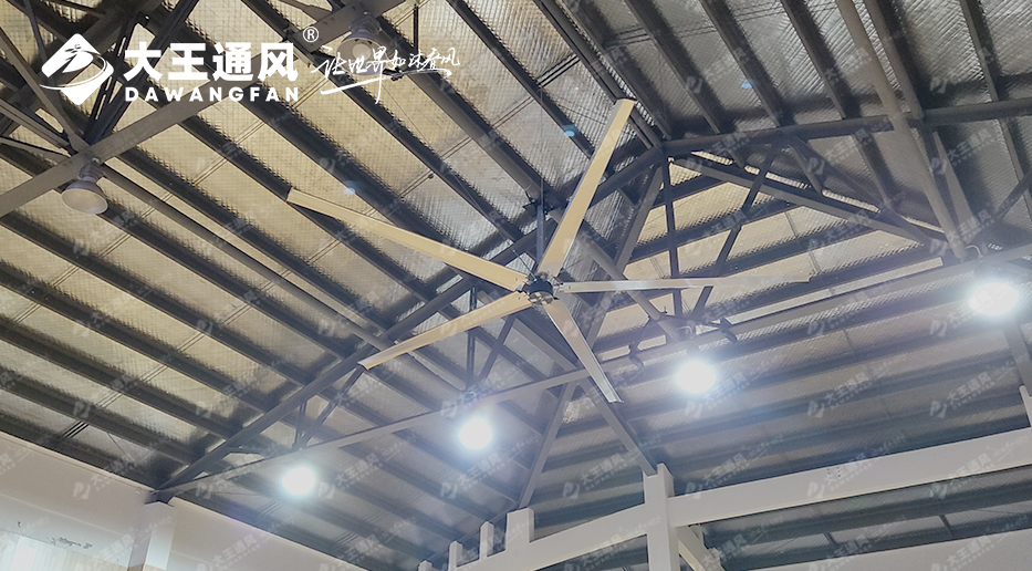 大王風扇亮相錦天體育,打造舒適運動環境,運動達人熱薦!!!