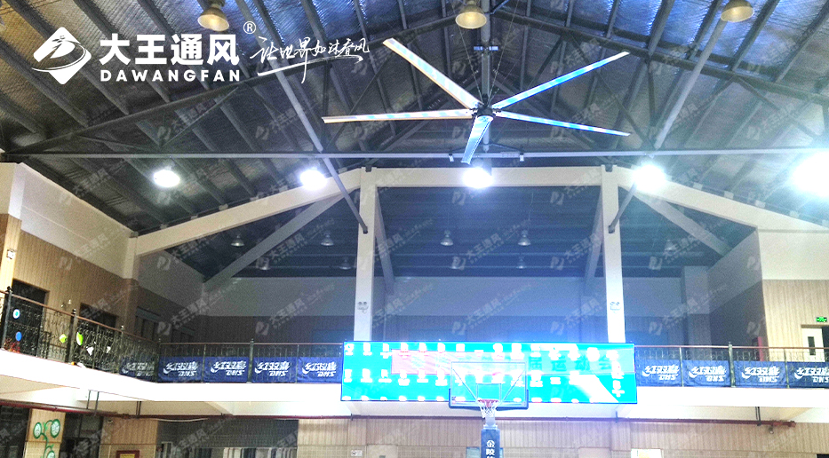 大王風扇亮相錦天體育,打造舒適運動環境,運動達人熱薦!!!