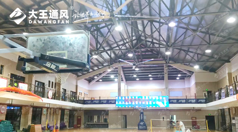 大王風扇亮相錦天體育,打造舒適運動環境,運動達人熱薦!!!