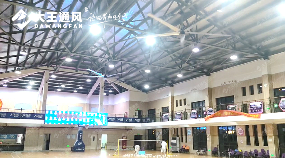 大王風扇亮相錦天體育,打造舒適運動環境,運動達人熱薦!!!