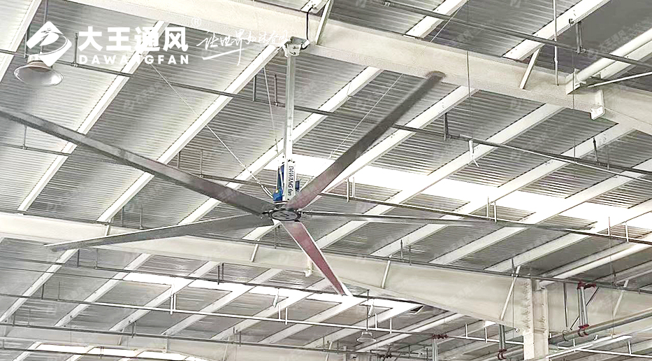美團(tuán)推薦!大王通風(fēng)工業(yè)大風(fēng)扇——即刻降溫,暢享清涼!