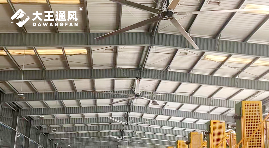 大王安全工業大風扇：除濕與降溫的雙重守護者