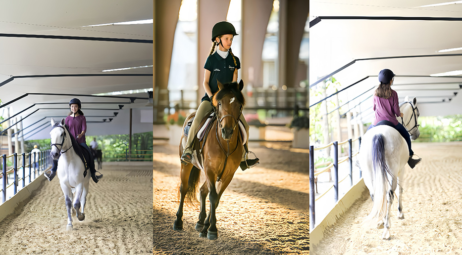 大王HVLS節能大風扇為馬術場館提供通風降溫及氣流改善完美方案