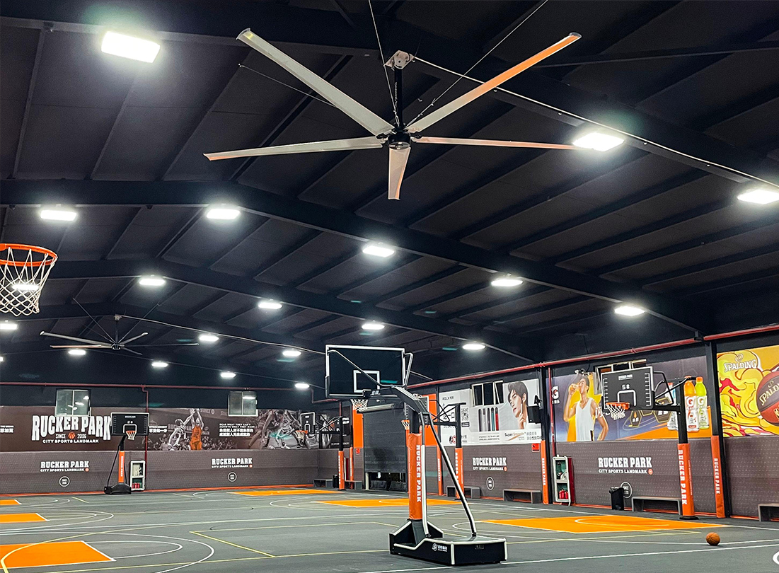 大王小課堂丨1臺風扇解鎖除濕+除塵+省電！