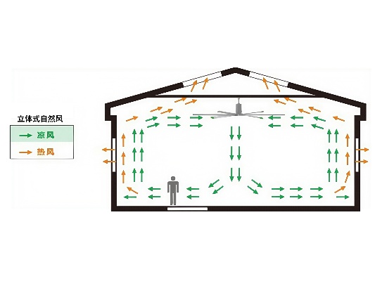 1752736824126775.jpg 2.jpg