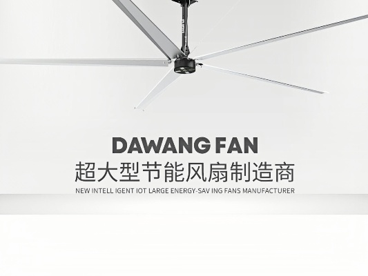 1752736981128012.jpg 3.jpg