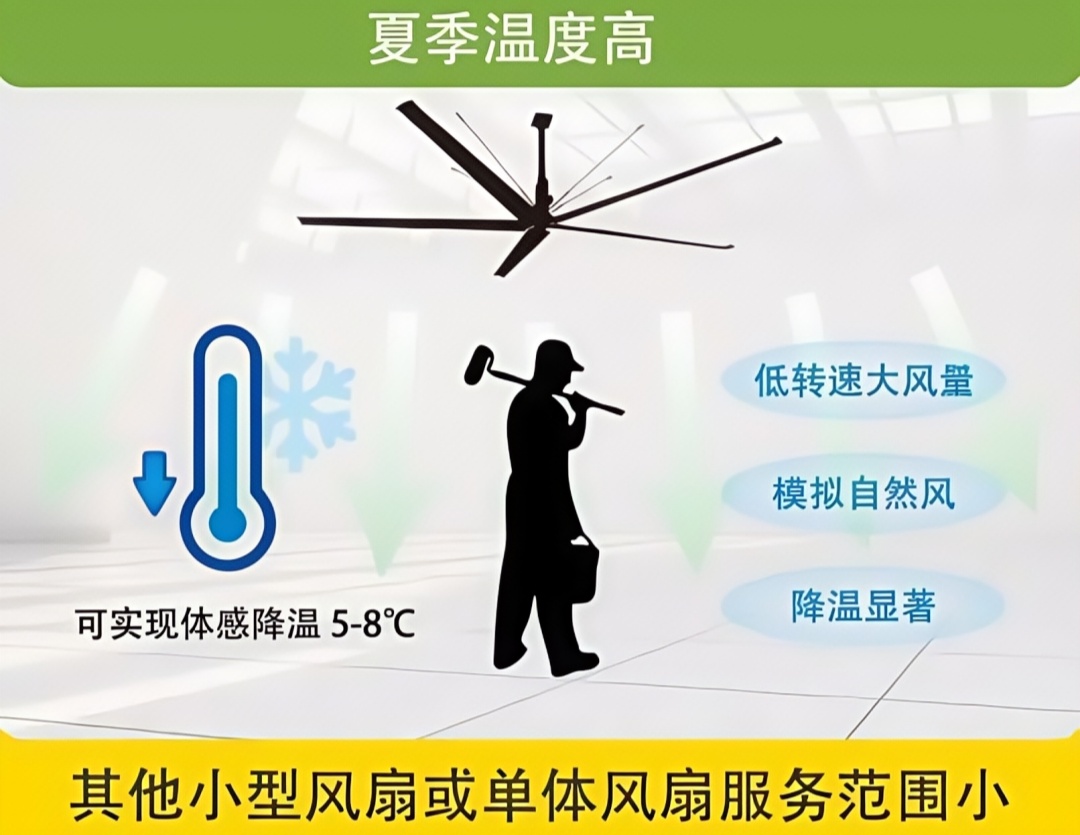 1756175412908150.jpg 222222222222.JPG